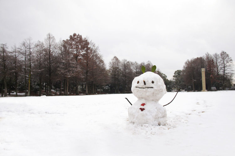 六甲山【夏休み】イベントの雪遊びが涼しい！雪まつりの開催期間や料金
